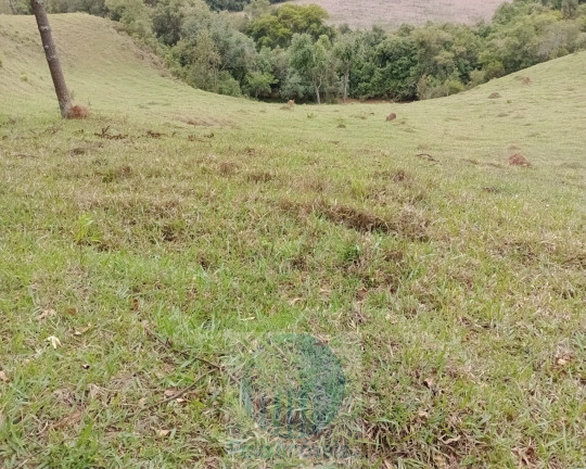 Imagem Imóvel com 2 Quartos à Venda, 150.000 m² em Rural - Jacuí Imagem Imóvel com 2 Quartos à Venda, 150.000 m² em Rural - Jacuí