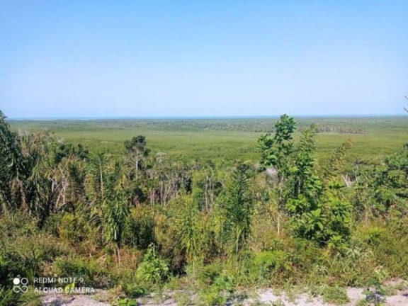 Imagem Fazenda à Venda, 400.000 m² em Ilha De Atalaia - Canavieiras Imagem Fazenda à Venda, 400.000 m² em Ilha De Atalaia - Canavieiras