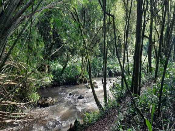 Imagem Terreno à Venda, 3 m² em São Jacó - Nova Petrópolis
