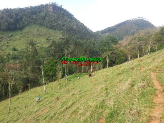 Imagem Chácara à Venda, 20.000 m² em São Francisco Xavier - São José Dos Campos Imagem Chácara à Venda, 20.000 m² em São Francisco Xavier - São José Dos Campos