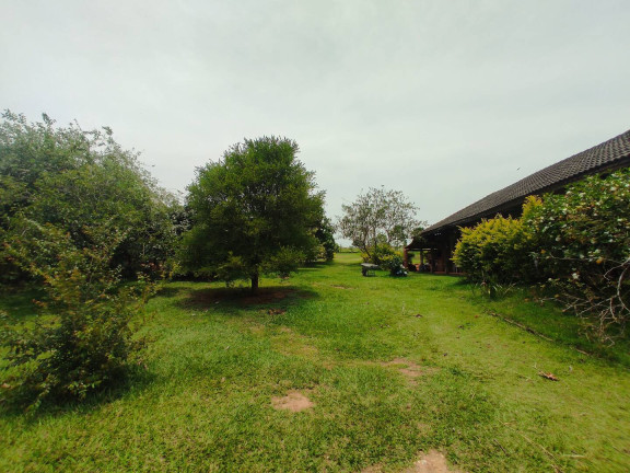 Imagem Chácara com 3 Quartos à Venda, 5.000 m² em Margens Da Raposo Tvares - Alambari Imagem Chácara com 3 Quartos à Venda, 5.000 m² em Margens Da Raposo Tvares - Alambari