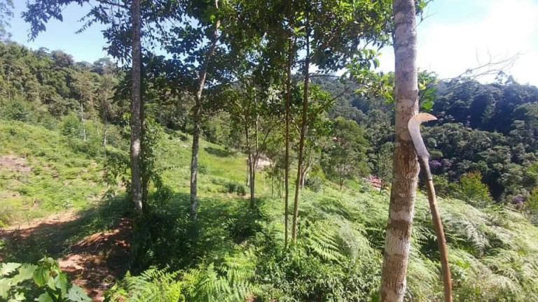 Imagem Terreno à Venda, 15 m² em Mury - Nova Friburgo Imagem Terreno à Venda, 15 m² em Mury - Nova Friburgo