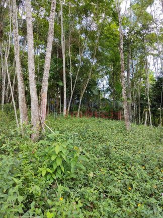 Imagem Chácara à Venda, 3.066 m² em 1º De Julho - Itapoá Imagem Chácara à Venda, 3.066 m² em 1º De Julho - Itapoá
