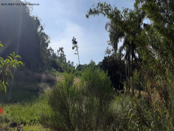 Imagem Terreno à Venda, em Bavaria - Nova Petrópolis Imagem Terreno à Venda, em Bavaria - Nova Petrópolis