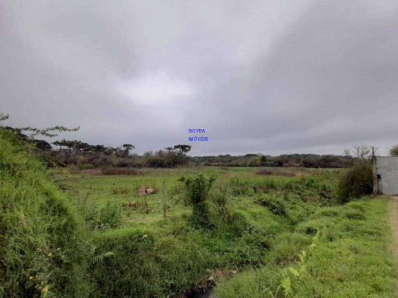 Imagem Terreno à Venda, 166.957 m² em Campina Da Barra - Araucária Imagem Terreno à Venda, 166.957 m² em Campina Da Barra - Araucária