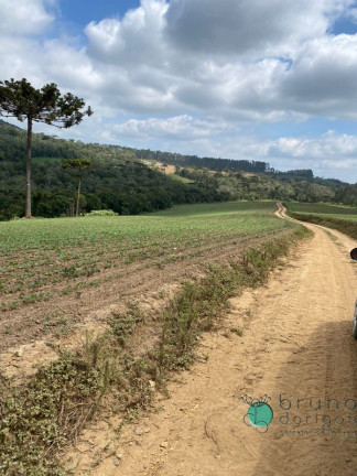 Imagem Imóvel à Venda, 1.600.000 m² em Zona Rural - Vidal Ramos Imagem Imóvel à Venda, 1.600.000 m² em Zona Rural - Vidal Ramos