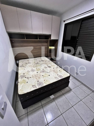 Imagem Apartamento com 3 Quartos para Alugar, 66 m² em Tatuapé - São Paulo Imagem Apartamento com 3 Quartos para Alugar, 66 m² em Tatuapé - São Paulo