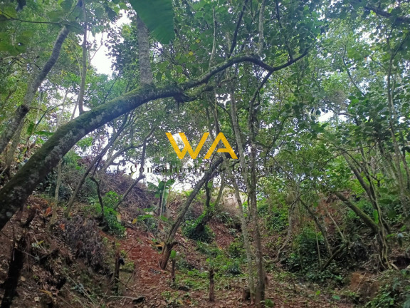 Imagem Imóvel à Venda, 1.045 m² em Chácaras Ceres - Suzano Imagem Imóvel à Venda, 1.045 m² em Chácaras Ceres - Suzano