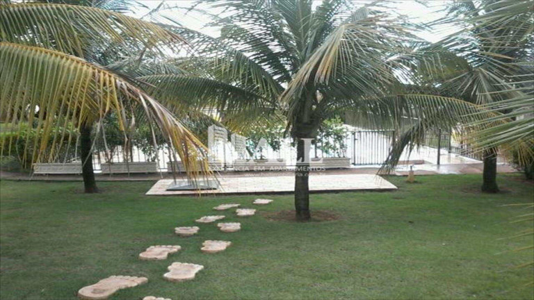 Imagem Apartamento com 2 Quartos à Venda, 55 m² em Jardim Yolanda - São José Do Rio Preto Imagem Apartamento com 2 Quartos à Venda, 55 m² em Jardim Yolanda - São José Do Rio Preto