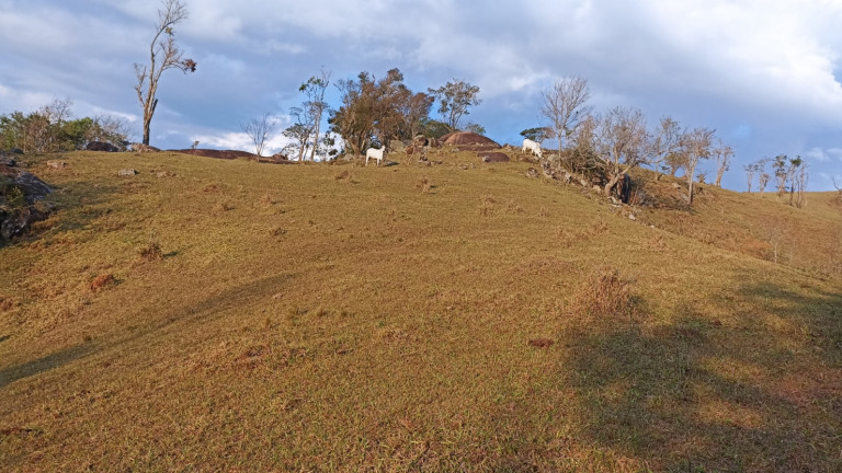 Chácara com 1 Quarto à Venda, 100 m² em Varjao - Paraibuna