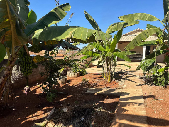 Imagem Casa com 3 Quartos à Venda, 584 m² em Santa Terezinha De Minas - Itatiaiuçu