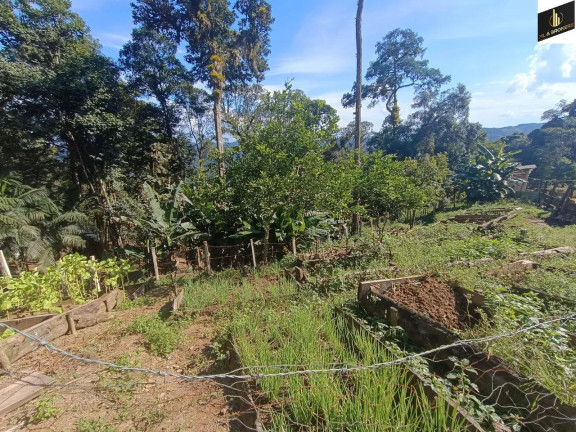 Imagem Imóvel com 2 Quartos à Venda, 182.000 m² em Zona Rural - Tunas Do Parana Imagem Imóvel com 2 Quartos à Venda, 182.000 m² em Zona Rural - Tunas Do Parana
