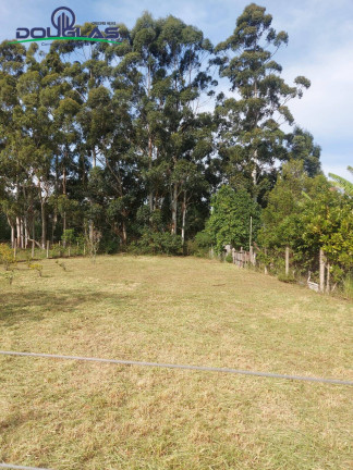 Imagem Terreno à Venda, 700 m² em Viamão Imagem Terreno à Venda, 700 m² em Viamão