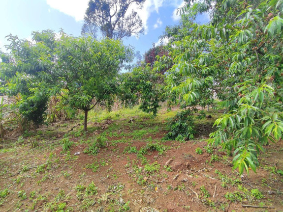 Imagem Chácara à Venda, 1.200 m² em Zona Rural - Tijucas Do Sul Imagem Chácara à Venda, 1.200 m² em Zona Rural - Tijucas Do Sul