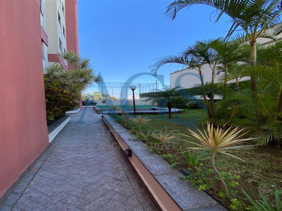 Imagem Apartamento com 3 Quartos à Venda, 64 m² em Vila Matilde - São Paulo