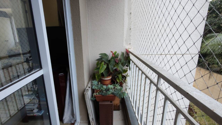Imagem Apartamento com 2 Quartos à Venda, 45 m² em Jardim Marilu - Carapicuíba Imagem Apartamento com 2 Quartos à Venda, 45 m² em Jardim Marilu - Carapicuíba