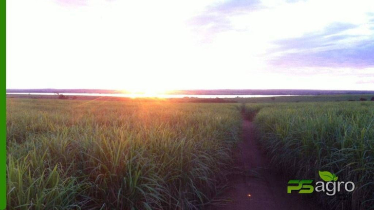 Imagem Fazenda à Venda, 150.766 m² em Centro - Itapura