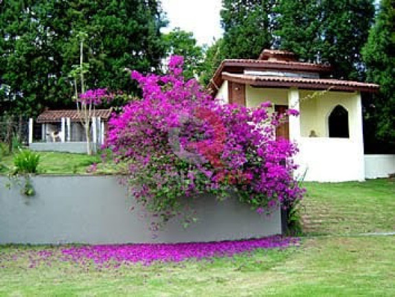 Imagem Imóvel com 7 Quartos à Venda, 5.000 m² em Ivoturucaia - Jundiaí Imagem Imóvel com 7 Quartos à Venda, 5.000 m² em Ivoturucaia - Jundiaí