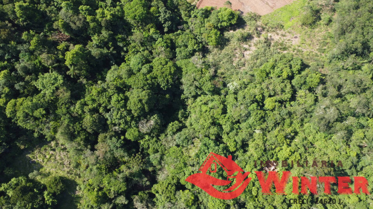 Imagem Chácara à Venda, 107.448 m² em Canto Chuchu - Linha Nova Imagem Chácara à Venda, 107.448 m² em Canto Chuchu - Linha Nova