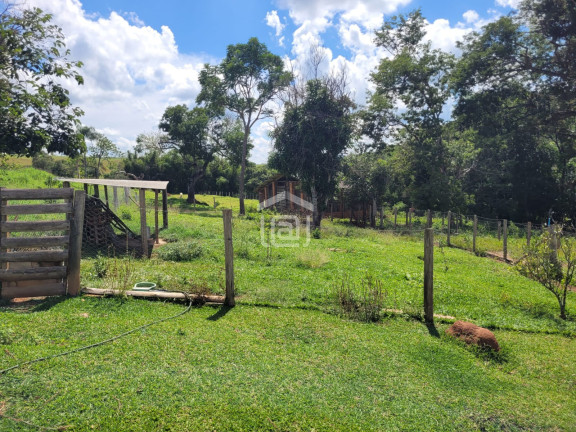Imagem Imóvel com 4 Quartos à Venda, 8.200 m² em Comunidade Ribeirão Pequeno - Divisa Nova
