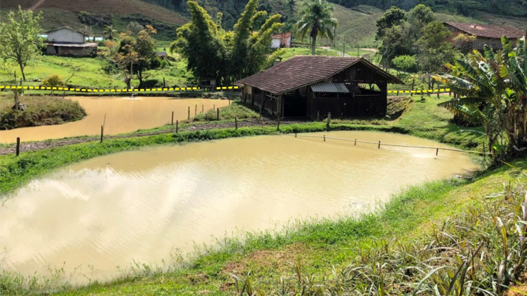 Imagem Imóvel com 3 Quartos à Venda, 30.000 m² em Zona Rural - Presidente Nereu