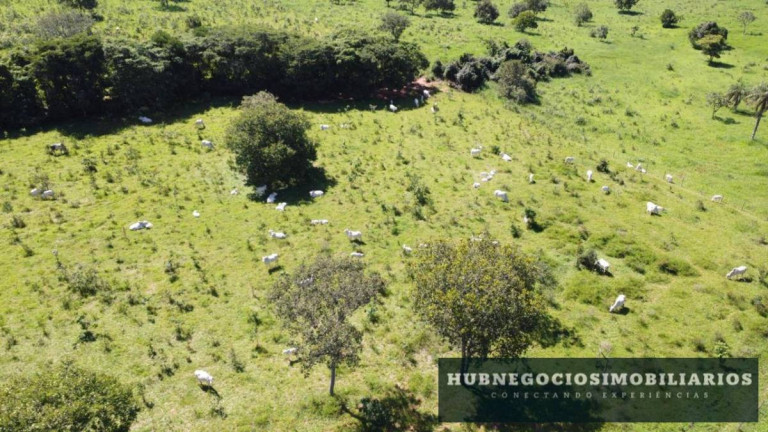 Imagem Fazenda à Venda, 82 m² em São Geraldo - Coração De Jesus Imagem Fazenda à Venda, 82 m² em São Geraldo - Coração De Jesus