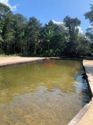 Imagem Casa com 2 Quartos para Alugar, 500 m² em Centro - Santa Bárbara Do Pará