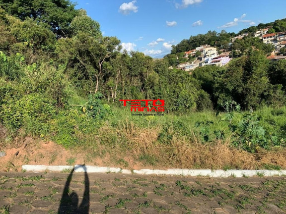 Imagem Terreno à Venda, 250 m² em Soledade - Mg - Loteamento Imagem Terreno à Venda, 250 m² em Soledade - Mg - Loteamento