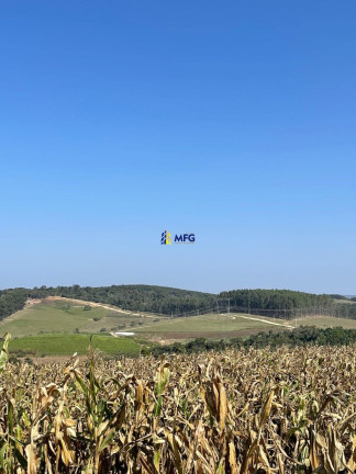 Imagem Fazenda à Venda, em Cocais - Sarapuí Imagem Fazenda à Venda, em Cocais - Sarapuí