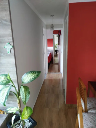 Imagem Apartamento com 2 Quartos à Venda, 50 m² em Jardim ísis - Cotia Imagem Apartamento com 2 Quartos à Venda, 50 m² em Jardim ísis - Cotia