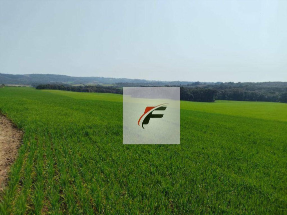 Imagem Fazenda à Venda, 847.000 m² em Centro - Lapa Imagem Fazenda à Venda, 847.000 m² em Centro - Lapa