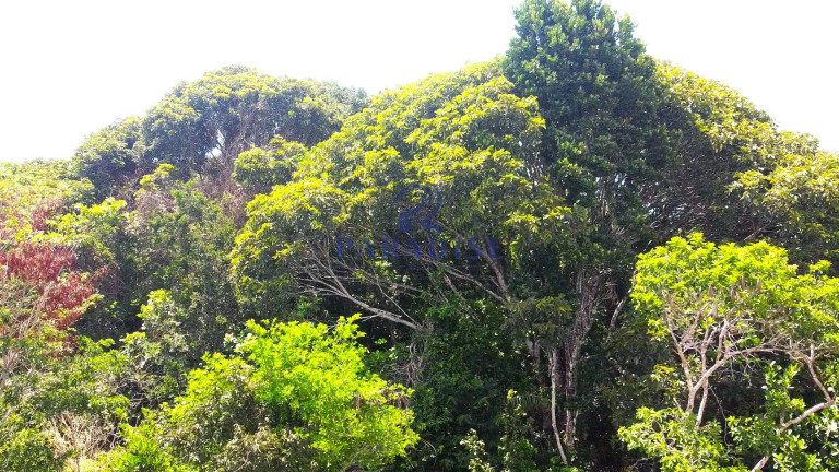 Terreno à Venda, 2.160 m² em Açu Da Torre - Mata De São João