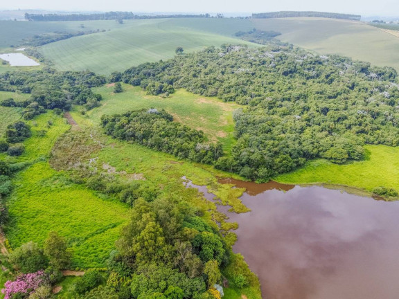 Imagem Fazenda à Venda, 459.800 m² em Campo Novo - Bragança Paulista Imagem Fazenda à Venda, 459.800 m² em Campo Novo - Bragança Paulista