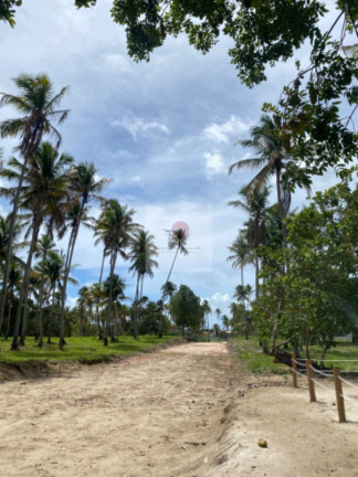 Imagem Terreno à Venda, 200 m² em Carneiros - Tamandaré Imagem Terreno à Venda, 200 m² em Carneiros - Tamandaré