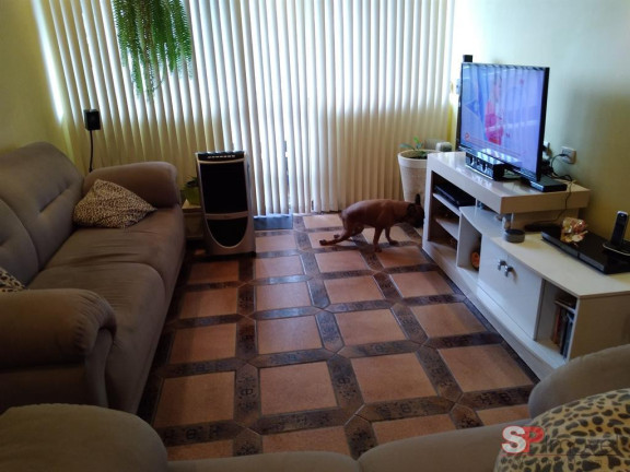 Imagem Apartamento com 3 Quartos à Venda, 101 m² em Santa Maria - São Caetano Do Sul Imagem Apartamento com 3 Quartos à Venda, 101 m² em Santa Maria - São Caetano Do Sul