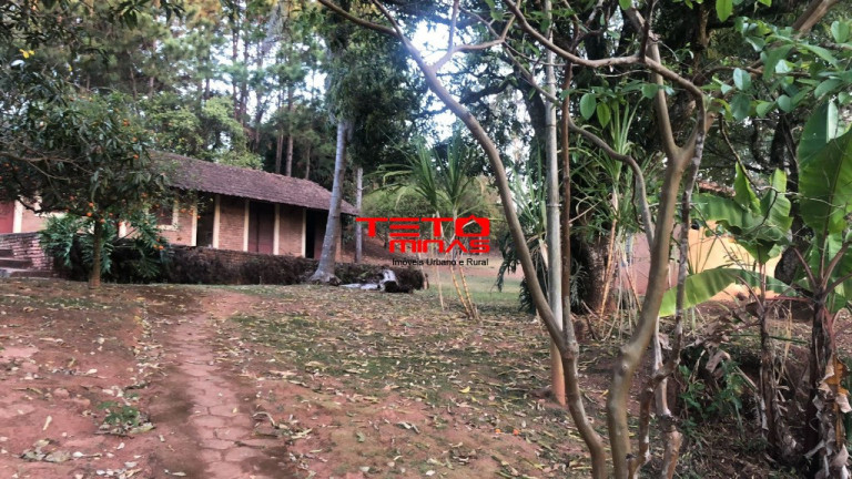 Imagem Imóvel com 3 Quartos à Venda, 630 m² em Zona Rural De Cambuquira - Cambuquira Imagem Imóvel com 3 Quartos à Venda, 630 m² em Zona Rural De Cambuquira - Cambuquira