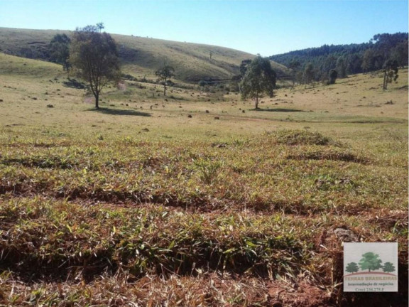 Imagem Fazenda à Venda, 2.000 m² em Centro - Campanha Imagem Fazenda à Venda, 2.000 m² em Centro - Campanha