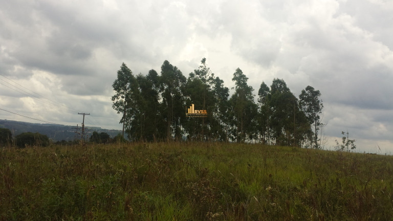 Imagem Terreno à Venda,  em Limal - Piedade