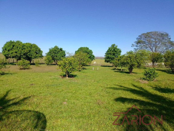 Imagem Fazenda à Venda, 203.280.000 m² em Presidente Venceslau Imagem Fazenda à Venda, 203.280.000 m² em Presidente Venceslau