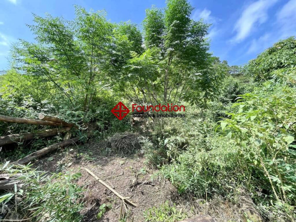 Imagem Terreno à Venda, em Vila Santo Antônio - Cotia Imagem Terreno à Venda, em Vila Santo Antônio - Cotia