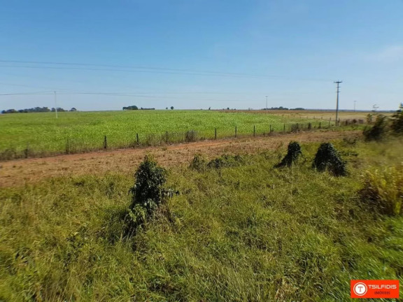 Imagem Fazenda à Venda, 72.600 m² em Zona Rural - Sinop Imagem Fazenda à Venda, 72.600 m² em Zona Rural - Sinop