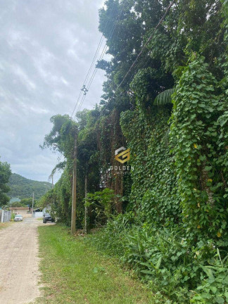 Terreno à Venda, 280 m² em Zimbros - Bombinhas