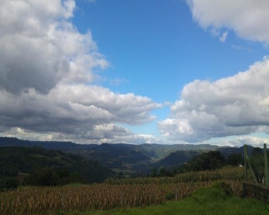 Imagem Terreno à Venda, 675 m² em Pinhal Alto - Nova Petrópolis