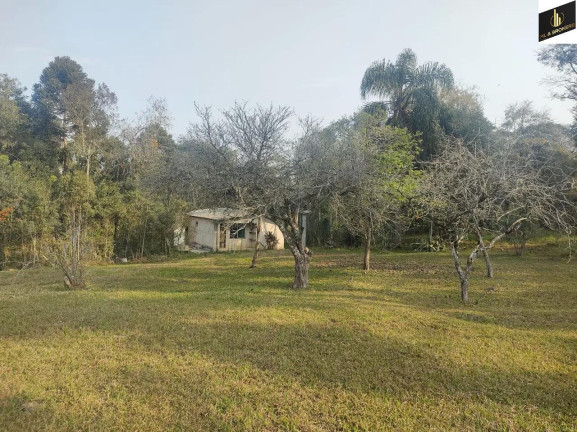 Imagem Imóvel com 3 Quartos à Venda, 20.000 m² em Imbuial - Colombo