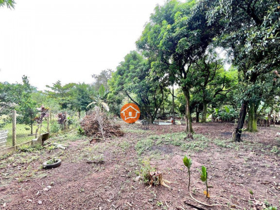 Imagem Chácara com 4 Quartos à Venda, 4.000 m² em Jardim Geriva - Santa Bárbara D'oeste Imagem Chácara com 4 Quartos à Venda, 4.000 m² em Jardim Geriva - Santa Bárbara D'oeste