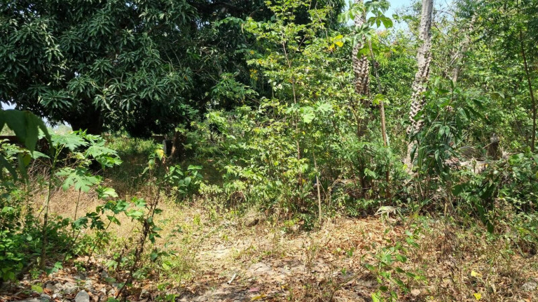 Imagem Terreno à Venda, 4 m² em Camará - Aquiraz Imagem Terreno à Venda, 4 m² em Camará - Aquiraz