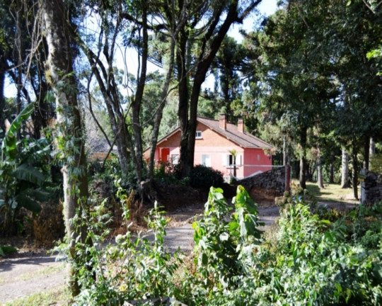 Imagem Imóvel com 4 Quartos à Venda,  em Piá - Nova Petrópolis