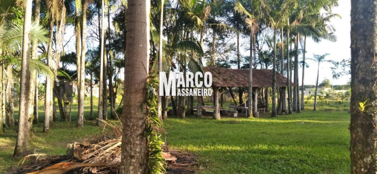 Imagem Chácara à Venda, 5 m² em Pinheiros - Balneário Barra Do Sul Imagem Chácara à Venda, 5 m² em Pinheiros - Balneário Barra Do Sul