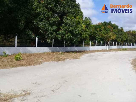 Imagem Chácara com 4 Quartos à Venda, 234 m² em Rodeador - Pindoretama