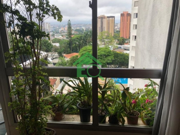 Imagem Apartamento com 3 Quartos à Venda, 107 m² em Vila Sofia - São Paulo Imagem Apartamento com 3 Quartos à Venda, 107 m² em Vila Sofia - São Paulo